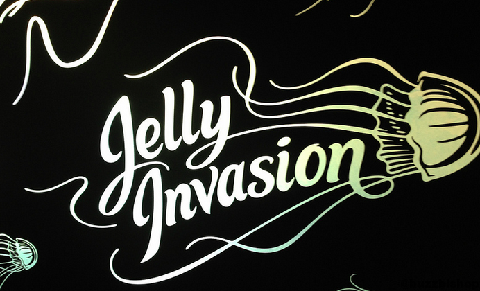 jelly invasion vancouver aquarium
